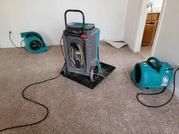 Best Water damage contractors near me  in Harrisburg, PA