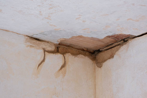 Best 24-hour water damage restoration  in Harrisburg, PA