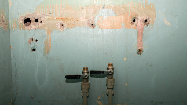 Water damage restoration experts in PA