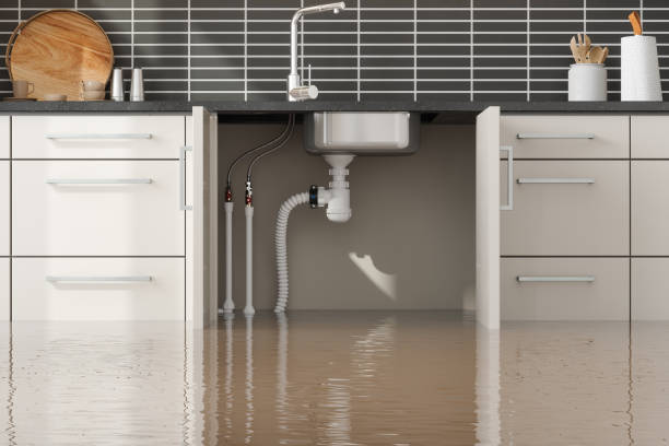 Best Water damage cleanup near me  in Harrisburg, PA