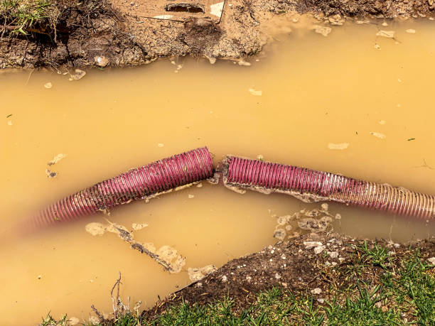 Best Flood restoration services  in Harrisburg, PA