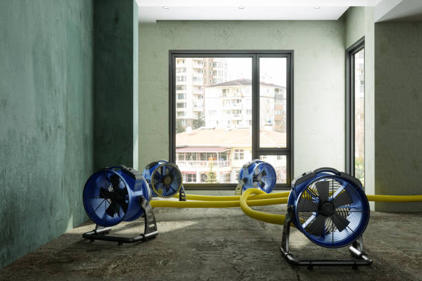 Best Carpet water damage restoration  in Harrisburg, PA
